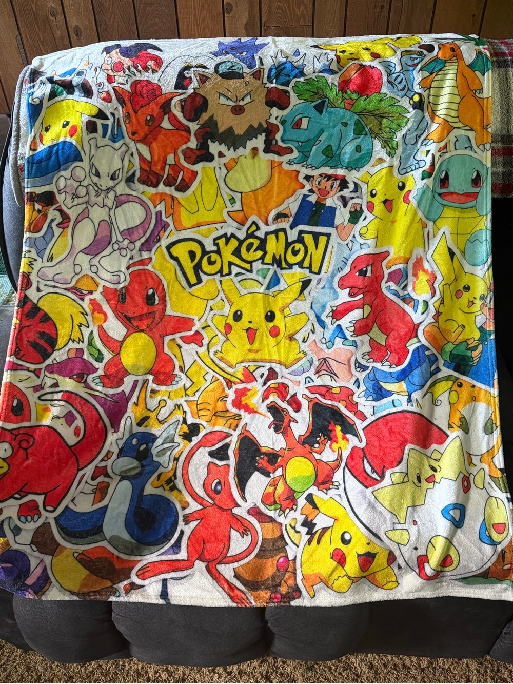 Pokémon Throw Blanket